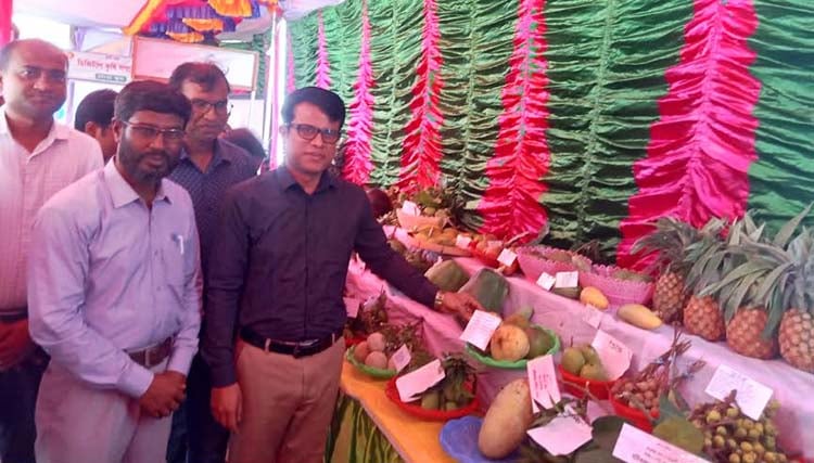 মাগুরায় তিন দিনব্যাপি ফল মেলার উদ্বোধন