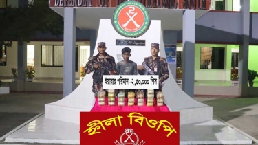 টেকনাফে ২ লাখ পিস ইয়াবাসহ মিয়ানমারের নাগরিক আটক