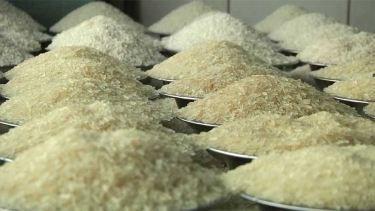 ভারত থেকে এলো আরও ১০ হাজার টন চাল