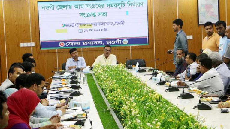 নওগাঁয় আম সংগ্রহ শুরু ২২ মে