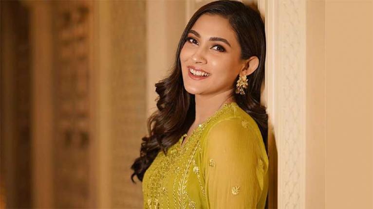নতুন সুখবরে ভাসছেন মেহজাবীন