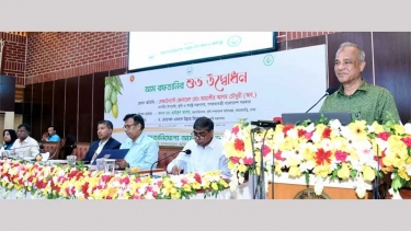 যুক্তরাষ্ট্র, জার্মানিসহ পাঁচ দেশে আনুষ্ঠানিক আম রপ্তানি শুরু