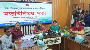 ১৫ মে থেকে রাজশাহীতে আম পাড়া শুরু