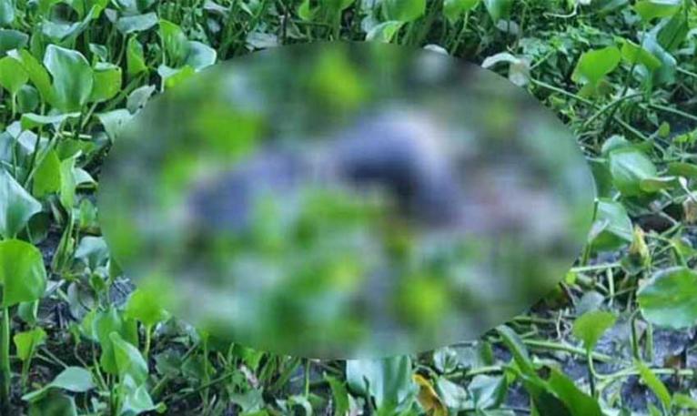 শরীয়তপুরের সখিপুরে ডোবা থেকে তরুণীর লাশ উদ্ধার