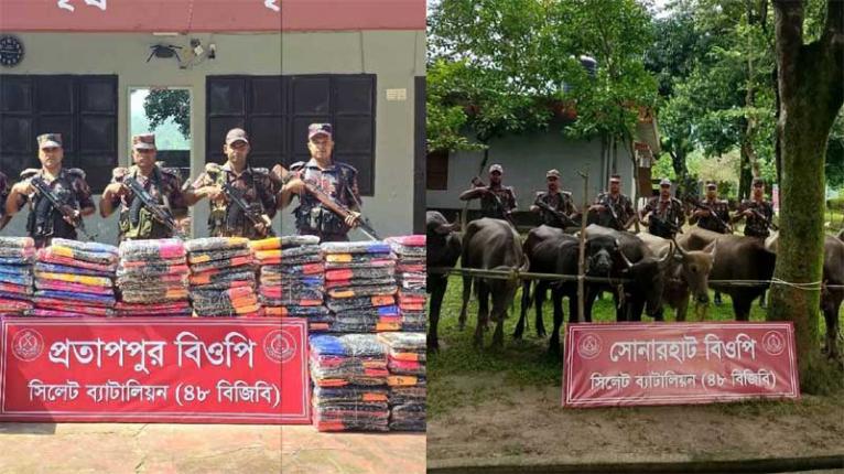 সিলেট-সুনামগঞ্জ সীমান্তে মহিষ-ভারতীয় পণ্যসহ ৭ গাড়ি জব্দ