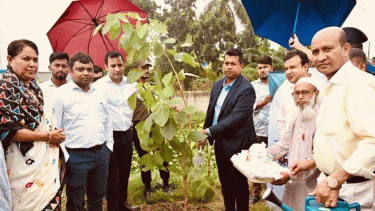 সদর উপজেলা প্রশাসনের উদ্যোগে বৃক্ষরোপণ করলেন জেলা প্রশাসক