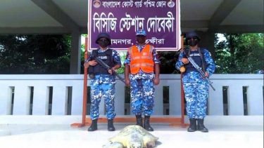 চুনকুড়ি নদী থেকে আহত কচ্ছপ উদ্ধার